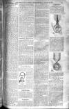 Birmingham Weekly Post Saturday 16 August 1902 Page 13