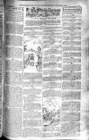 Birmingham Weekly Post Saturday 30 August 1902 Page 15