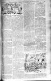 Birmingham Weekly Post Saturday 27 September 1902 Page 7