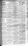Birmingham Weekly Post Saturday 27 September 1902 Page 15