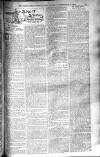 Birmingham Weekly Post Saturday 27 September 1902 Page 17