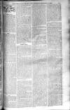 Birmingham Weekly Post Saturday 27 September 1902 Page 19