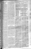 Birmingham Weekly Post Saturday 27 September 1902 Page 21