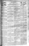 Birmingham Weekly Post Saturday 04 October 1902 Page 15