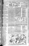 Birmingham Weekly Post Saturday 18 October 1902 Page 17
