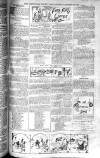 Birmingham Weekly Post Saturday 25 October 1902 Page 17