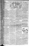 Birmingham Weekly Post Saturday 01 November 1902 Page 9