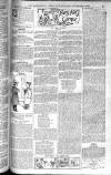Birmingham Weekly Post Saturday 01 November 1902 Page 17