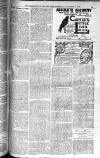 Birmingham Weekly Post Saturday 01 November 1902 Page 21