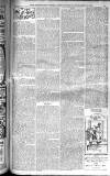 Birmingham Weekly Post Saturday 15 November 1902 Page 21