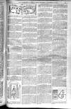 Birmingham Weekly Post Saturday 22 November 1902 Page 11