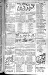 Birmingham Weekly Post Saturday 22 November 1902 Page 17