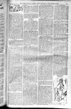 Birmingham Weekly Post Saturday 29 November 1902 Page 19