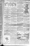 Birmingham Weekly Post Saturday 13 December 1902 Page 11