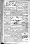 Birmingham Weekly Post Saturday 20 December 1902 Page 11