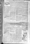 Birmingham Weekly Post Saturday 20 December 1902 Page 19