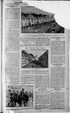 Birmingham Weekly Post Saturday 10 September 1910 Page 7