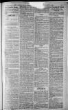 Birmingham Weekly Post Saturday 01 January 1910 Page 11