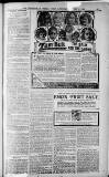 Birmingham Weekly Post Saturday 08 January 1910 Page 23