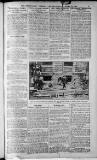 Birmingham Weekly Post Saturday 15 January 1910 Page 5