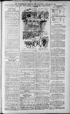 Birmingham Weekly Post Saturday 29 January 1910 Page 5