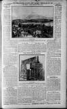 Birmingham Weekly Post Saturday 12 February 1910 Page 7