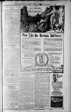 Birmingham Weekly Post Saturday 12 February 1910 Page 11