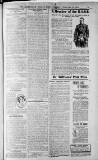 Birmingham Weekly Post Saturday 12 February 1910 Page 15