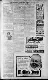 Birmingham Weekly Post Saturday 12 February 1910 Page 19