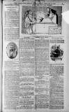 Birmingham Weekly Post Saturday 19 February 1910 Page 3