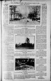 Birmingham Weekly Post Saturday 19 March 1910 Page 7