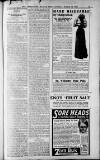 Birmingham Weekly Post Saturday 19 March 1910 Page 19