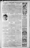 Birmingham Weekly Post Saturday 26 March 1910 Page 11