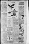 Birmingham Weekly Post Saturday 30 April 1910 Page 3
