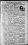 Birmingham Weekly Post Saturday 30 April 1910 Page 17