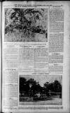 Birmingham Weekly Post Saturday 14 May 1910 Page 9