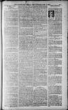 Birmingham Weekly Post Saturday 14 May 1910 Page 19