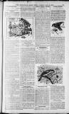 Birmingham Weekly Post Saturday 21 May 1910 Page 7