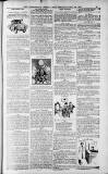 Birmingham Weekly Post Saturday 21 May 1910 Page 21