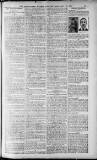 Birmingham Weekly Post Saturday 28 May 1910 Page 17