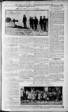 Birmingham Weekly Post Saturday 11 June 1910 Page 13