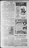 Birmingham Weekly Post Saturday 18 June 1910 Page 15