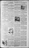 Birmingham Weekly Post Saturday 18 June 1910 Page 19
