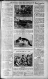 Birmingham Weekly Post Saturday 25 June 1910 Page 7