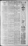 Birmingham Weekly Post Saturday 25 June 1910 Page 11