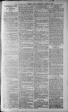 Birmingham Weekly Post Saturday 06 August 1910 Page 17