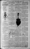 Birmingham Weekly Post Saturday 06 August 1910 Page 19
