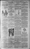 Birmingham Weekly Post Saturday 03 September 1910 Page 19