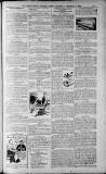 Birmingham Weekly Post Saturday 08 October 1910 Page 19