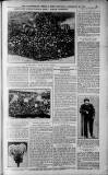 Birmingham Weekly Post Saturday 12 November 1910 Page 13